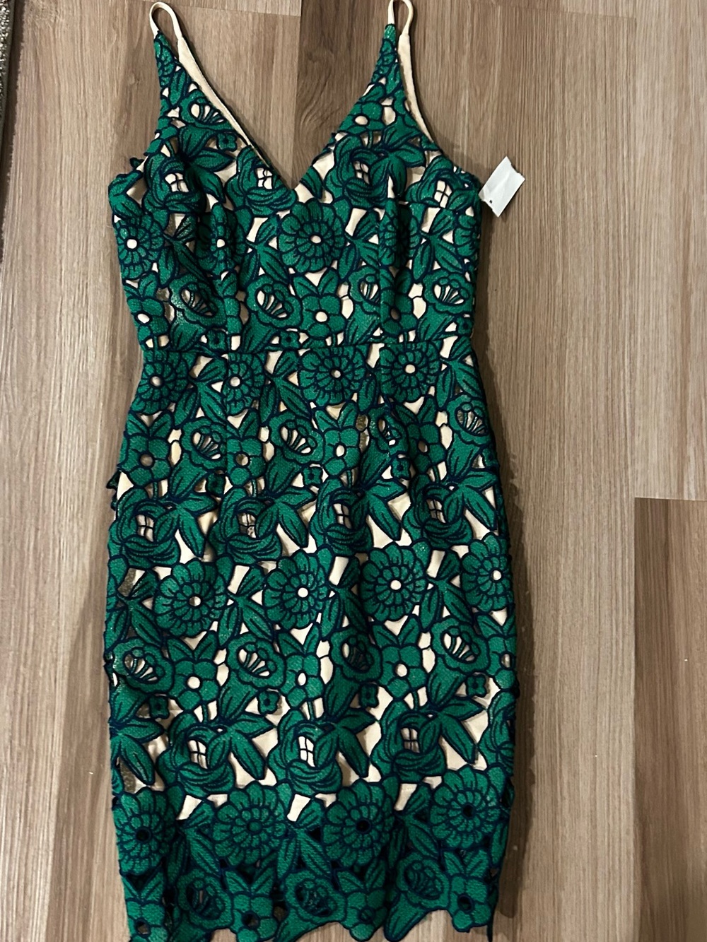 Minuet Petite Green Floral Lace Midi Dress with Nude Underlay